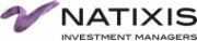 NATIXIS INVESTMENT MANAGERS INTERNATIONAL logo