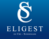 logo ELIGEST S.A.