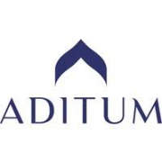logo ADITUM INVESTMENT MANAGEMENT LIMITED